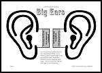 Big Ears Listening Walk